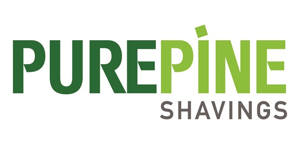 Pure Pine Shavings
