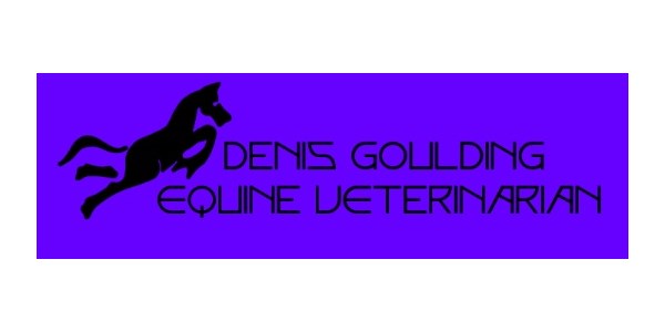 Denis Goulding Equine Veterinarian