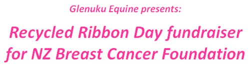 Glenuku Equine's Recycled Ribbon Day