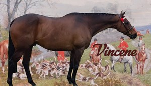 Competitor picture for Vincene