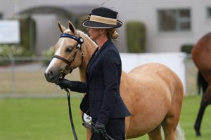 Competitor picture for Jubilee Harvest Gold 
