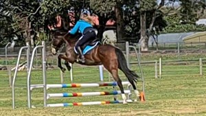 Competitor picture for Twilight Topaz