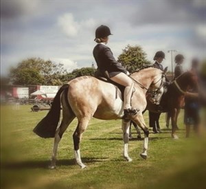 Competitor picture for Symphony LPE 