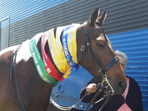 Competitor picture for Magnus Pride