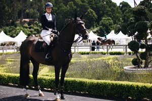 Competitor picture for Henton Fleur-de-Lis