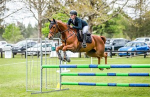 Competitor picture for Sparkling Destellar