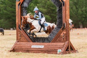 Competitor picture for Coca Cola Lola