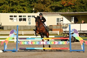 Competitor picture for Sigourney heights