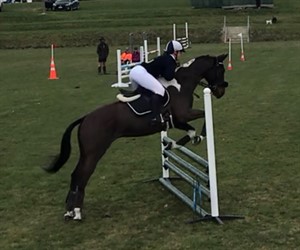Competitor picture for Bracken Ridge NV 