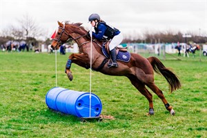 Competitor picture for Kennybrook fox hunter 