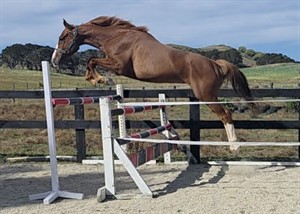 Competitor picture for Wotan LS