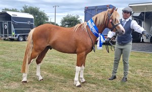 Competitor picture for Jubilee Wind Swept