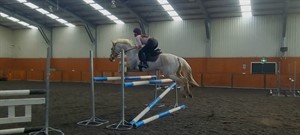 Competitor picture for Phamias Ivee The One 