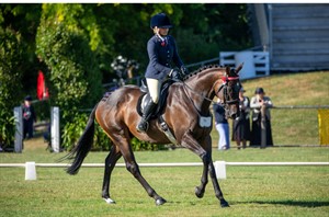 Competitor picture for Kings Empire 