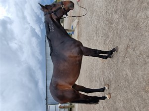 Competitor picture for Ticking Over