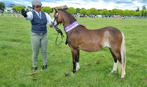 Competitor picture for Arian Silver Dawn