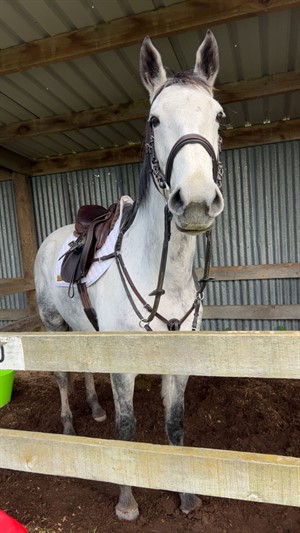Competitor picture for Back talk