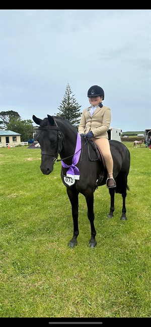 Competitor picture for BR Golden Chico