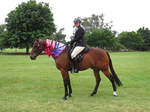 Competitor picture for Ideal Zen
