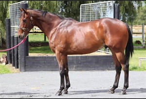 Competitor picture for Valiant Fortune