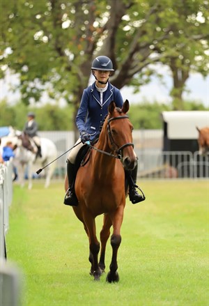 Competitor picture for Starlight Rocco