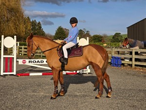 Competitor picture for Golden Foxtrot