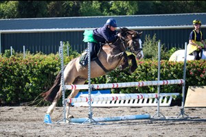 Competitor picture for Hearty Ngati