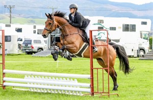 Competitor picture for Aspen Park Kit Kat GNZ