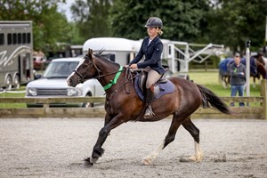 Competitor picture for Dusty Hills Harmony