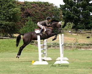 Competitor picture for Circus