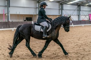 Competitor picture for Allanton Park Night Fury