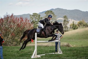 Competitor picture for Quatromosa