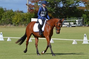 Competitor picture for Redcliffs Glass Slipper