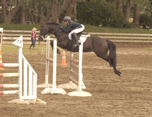 Competitor picture for Wild Thing
