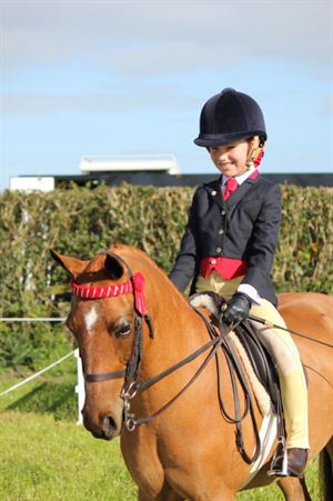 Competitor picture for Fairlight Acres Merlin