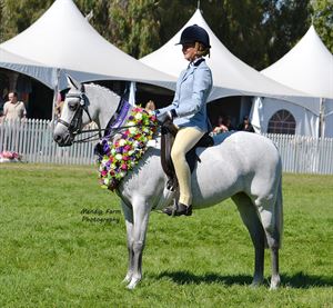 Competitor picture for Mansfield Park Magnolia