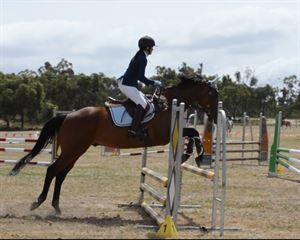 Competitor picture for Blu de Ville