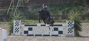 Competitor picture for Springboard