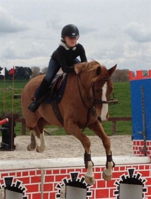 Competitor picture for Sapphire