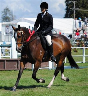 Competitor picture for Braveheart Leading Lady
