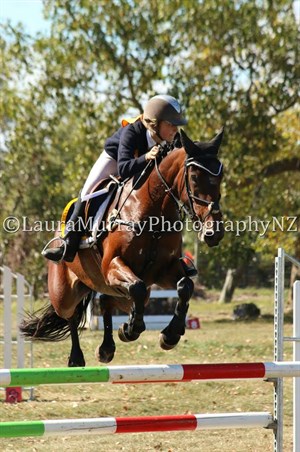 Competitor picture for Little Horse