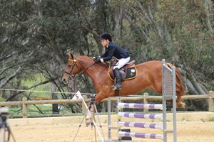 Competitor picture for Ms Behave