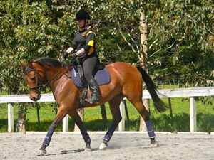 Competitor picture for Burren Dah Satine +AU