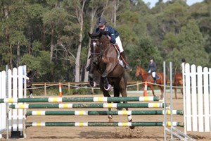 Competitor picture for Diamond Dust