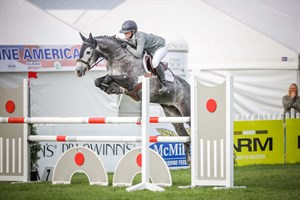 Competitor picture for Kingsley busy bee