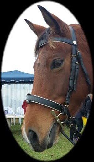 Competitor picture for Rockstar Addiction