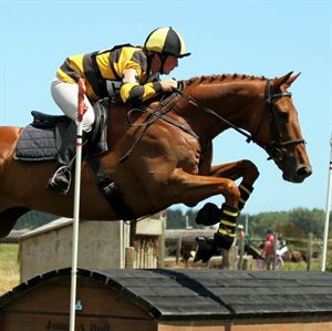 Competitor picture for Barnstormer