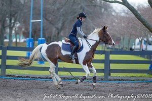 Competitor picture for Mustangs Image