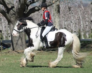 Competitor picture for Swanhaven James.