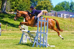 Competitor picture for Simply Irresistable